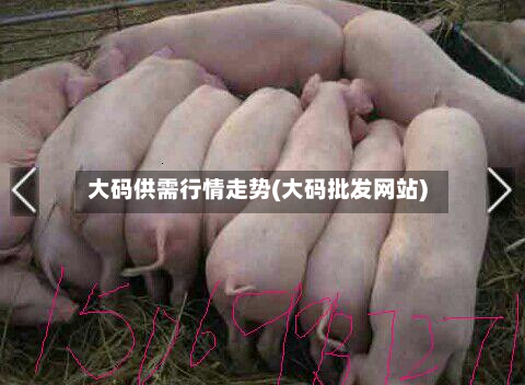 大码供需行情走势(大码批发网站)