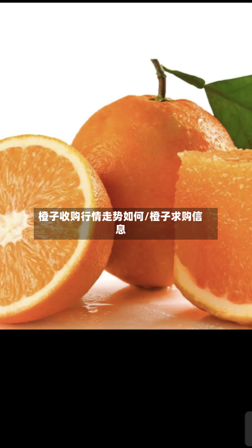 橙子收购行情走势如何/橙子求购信息-第2张图片