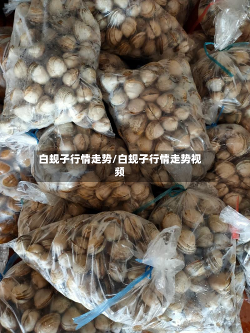 白蚬子行情走势/白蚬子行情走势视频-第3张图片