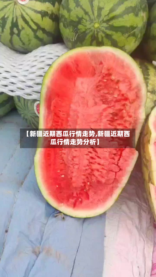 【新疆近期西瓜行情走势,新疆近期西瓜行情走势分析】