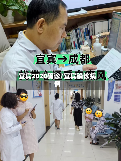 宜宾2020确诊/宜宾确诊病例
