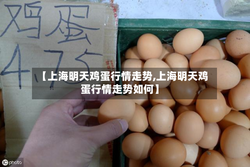 【上海明天鸡蛋行情走势,上海明天鸡蛋行情走势如何】