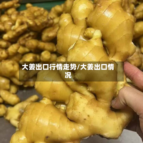 大姜出口行情走势/大姜出口情况