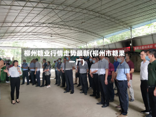 柳州糖业行情走势最新(柳州市糖果一厂)-第2张图片