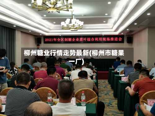 柳州糖业行情走势最新(柳州市糖果一厂)-第3张图片