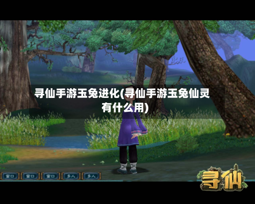 寻仙手游玉兔进化(寻仙手游玉兔仙灵有什么用)-第3张图片