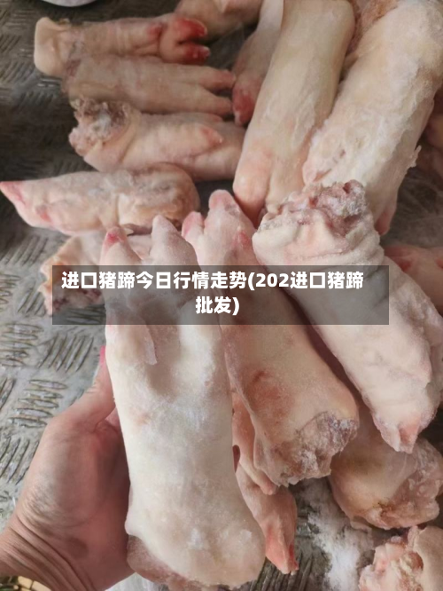 进口猪蹄今日行情走势(202进口猪蹄批发)-第3张图片