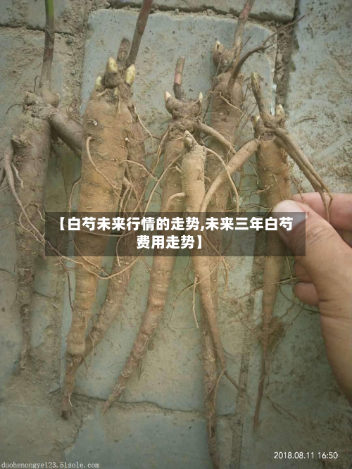 【白芍未来行情的走势,未来三年白芍费用走势】-第2张图片