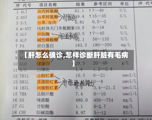 【肝怎么确诊,怎样诊断肝脏有毛病】-第3张图片