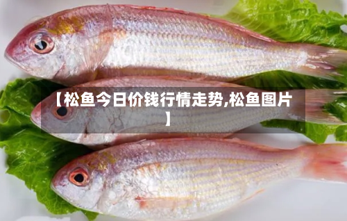 【松鱼今日价钱行情走势,松鱼图片】