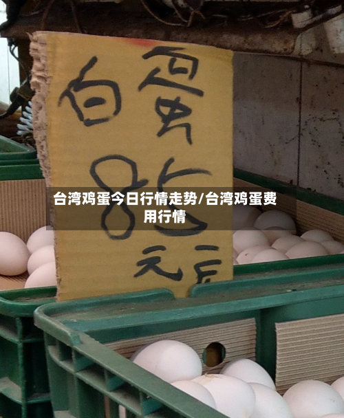 台湾鸡蛋今日行情走势/台湾鸡蛋费用行情-第2张图片