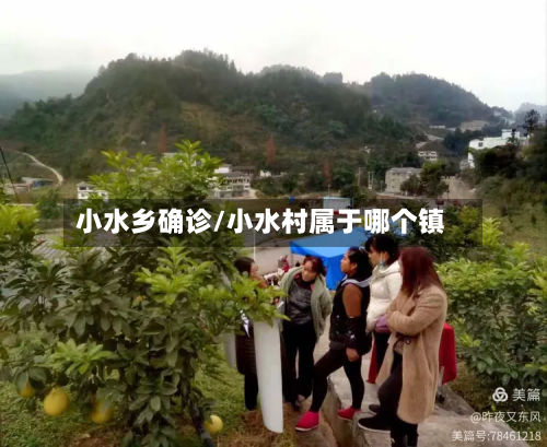 小水乡确诊/小水村属于哪个镇-第2张图片