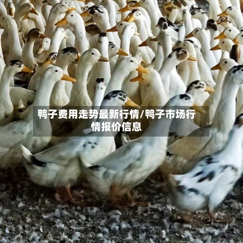 鸭子费用走势最新行情/鸭子市场行情报价信息