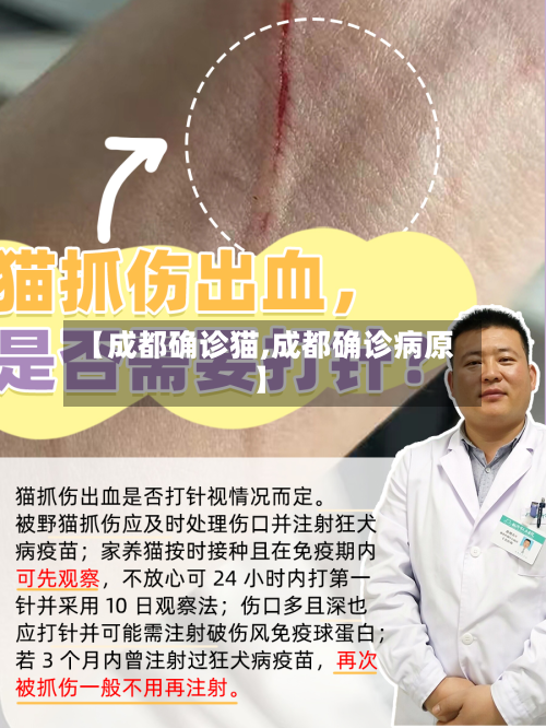 【成都确诊猫,成都确诊病原】-第2张图片