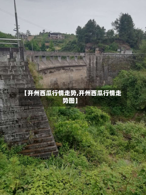 【开州西瓜行情走势,开州西瓜行情走势图】-第3张图片
