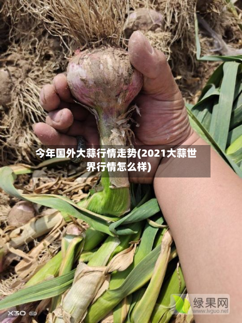 今年国外大蒜行情走势(2021大蒜世界行情怎么样)-第3张图片