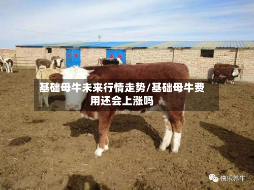 基础母牛未来行情走势/基础母牛费用还会上涨吗-第2张图片