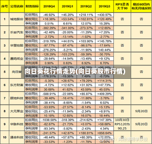 向日葵花行情走势(向日葵股市行情)-第3张图片