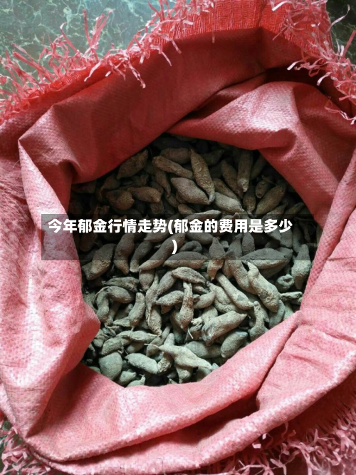 今年郁金行情走势(郁金的费用是多少)-第2张图片
