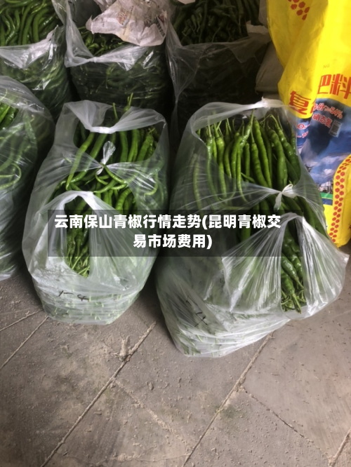 云南保山青椒行情走势(昆明青椒交易市场费用)-第2张图片