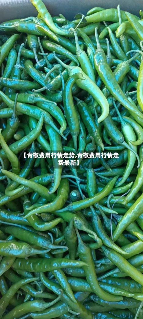 【青椒费用行情走势,青椒费用行情走势最新】