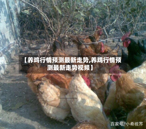 【养鸡行情预测最新走势,养鸡行情预测最新走势视频】-第2张图片