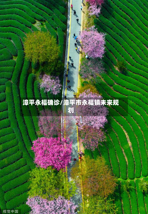 漳平永福确诊/漳平市永福镇未来规划