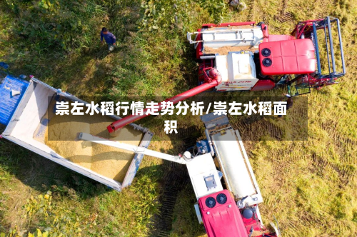 崇左水稻行情走势分析/崇左水稻面积-第2张图片