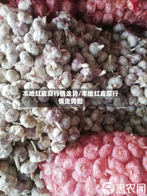 本地红皮蒜行情走势/本地红皮蒜行情走势图