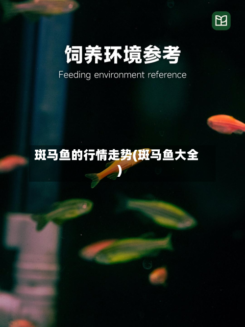 斑马鱼的行情走势(斑马鱼大全)