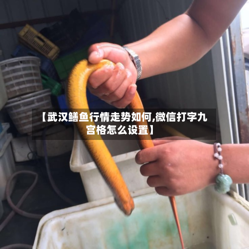 【武汉鳝鱼行情走势如何,微信打字九宫格怎么设置】