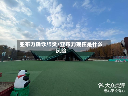 亚布力确诊肺炎/亚布力现在是什么风险-第3张图片