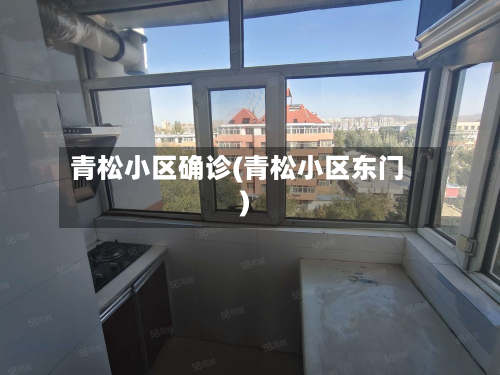青松小区确诊(青松小区东门)