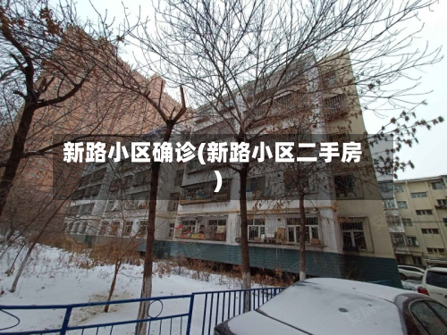 新路小区确诊(新路小区二手房)
