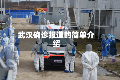 武汉确诊报道的简单介绍-第2张图片