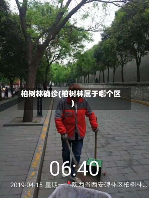 柏树林确诊(柏树林属于哪个区)