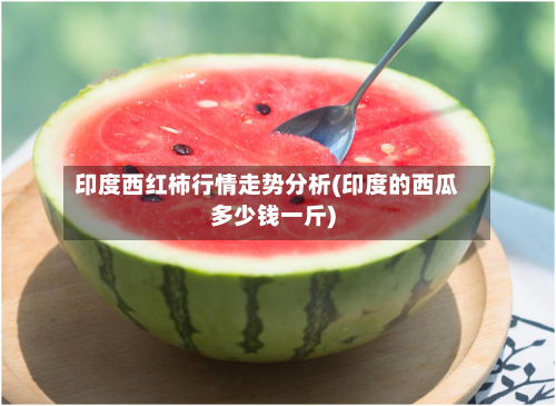 印度西红柿行情走势分析(印度的西瓜多少钱一斤)