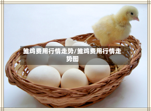 雏鸡费用行情走势/雏鸡费用行情走势图-第2张图片