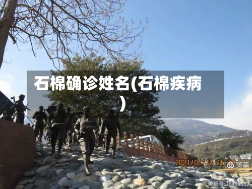 石棉确诊姓名(石棉疾病)-第2张图片
