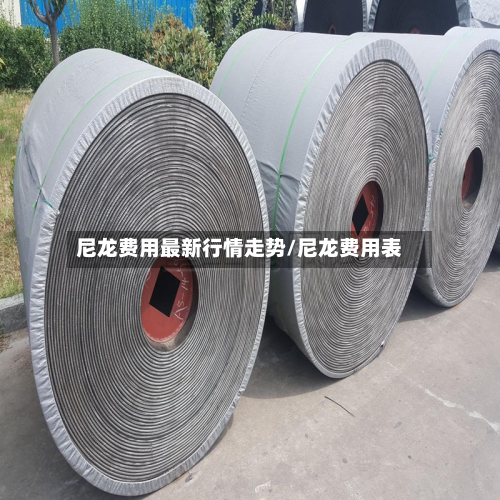 尼龙费用最新行情走势/尼龙费用表-第2张图片