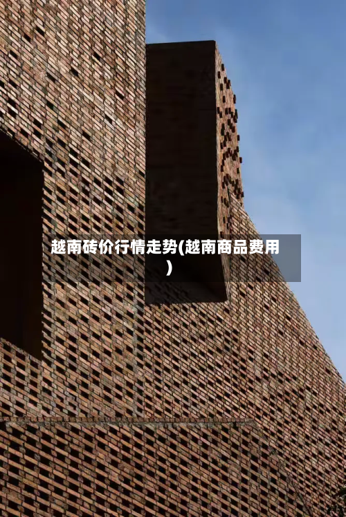 越南砖价行情走势(越南商品费用)
