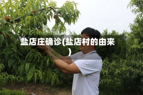 盐店庄确诊(盐店村的由来)