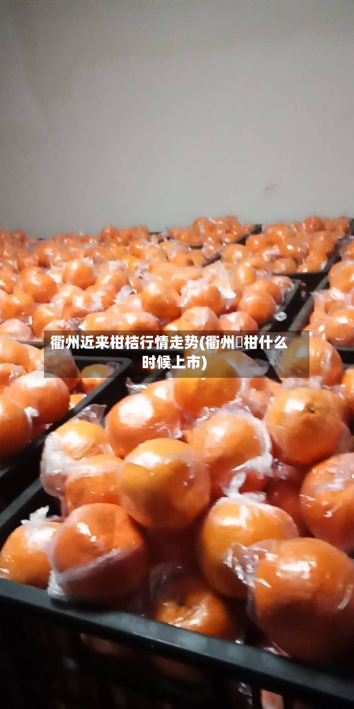 衢州近来柑桔行情走势(衢州椪柑什么时候上市)-第2张图片
