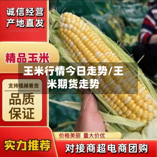 王米行情今日走势/王米期货走势-第2张图片