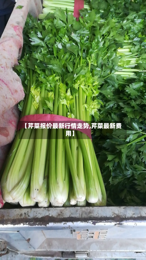 【芹菜报价最新行情走势,芹菜最新费用】-第2张图片