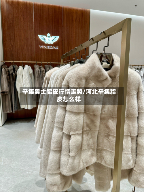 辛集男士貂皮行情走势/河北辛集貂皮怎么样