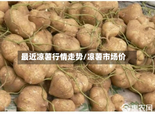 最近凉薯行情走势/凉薯市场价-第2张图片