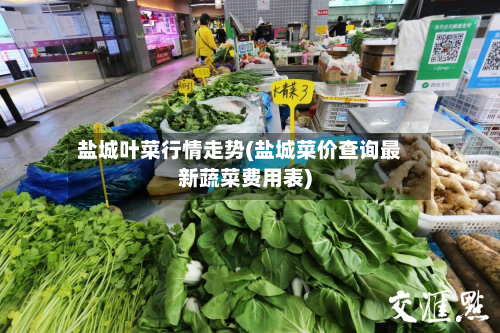 盐城叶菜行情走势(盐城菜价查询最新蔬菜费用表)