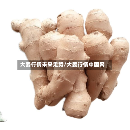 大姜行情未来走势/大姜行情中国网