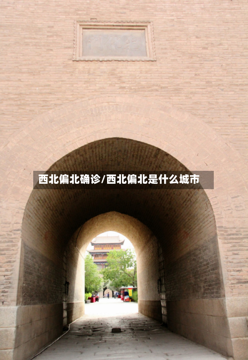 西北偏北确诊/西北偏北是什么城市-第2张图片